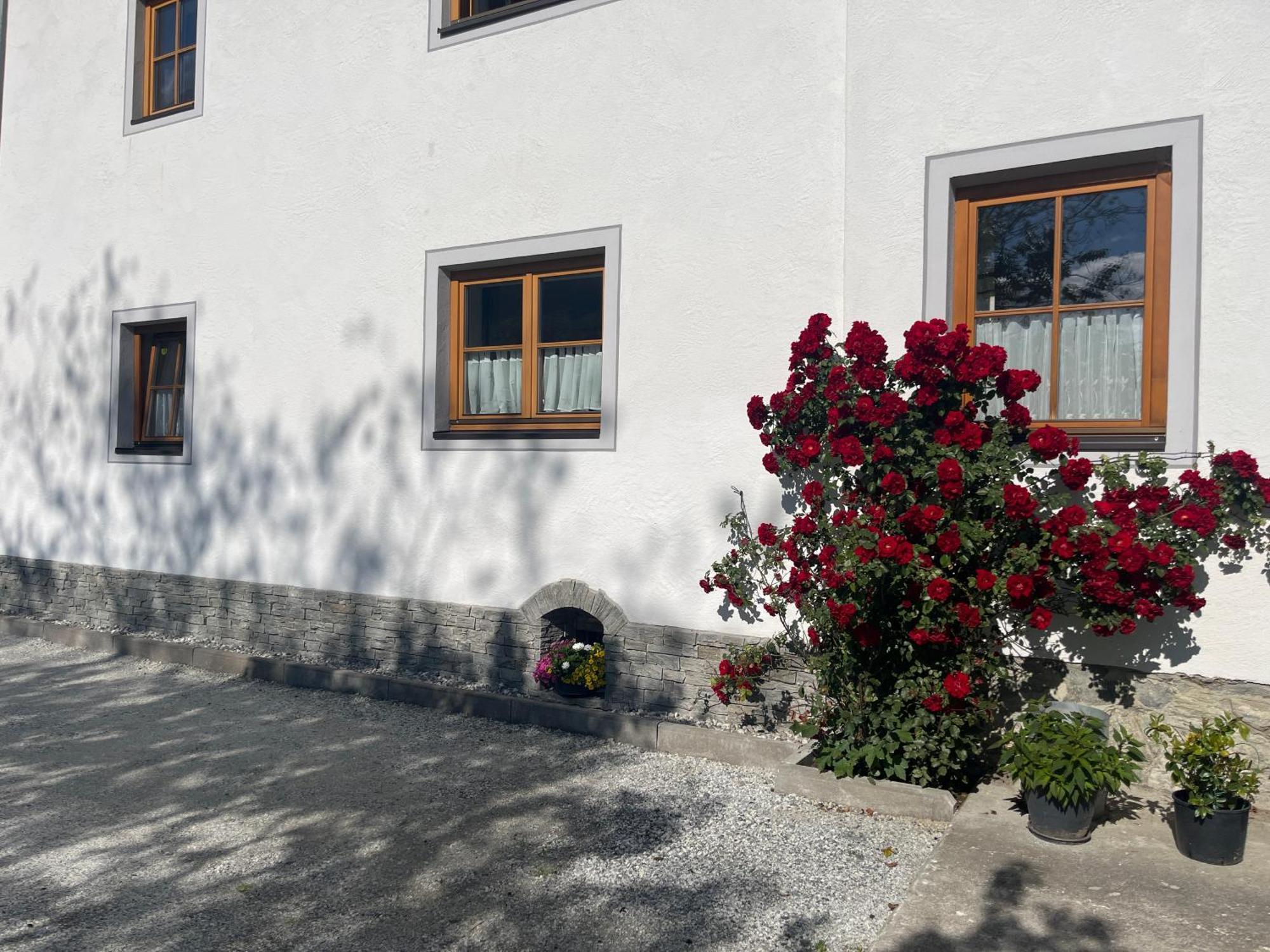 Landhaus Ganzer 니에데른실 외부 사진